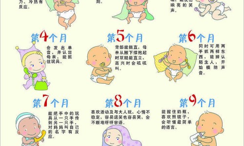 抗辐射食物有哪些-抗辐射食物第一名-抗辐射食物第一名,中国抗辐射食物网站