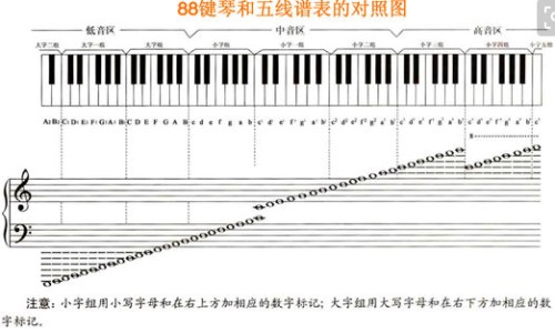 抗辐射吃什么食物-抗辐射食物第一名-抗辐射食物第一名,中国抗辐射食物网站